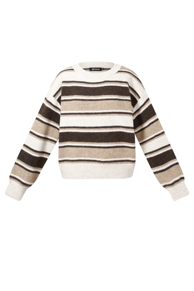 Polyester fiber (polyester) Knit sweaters Stripes Casual Fall/Winter Clothes