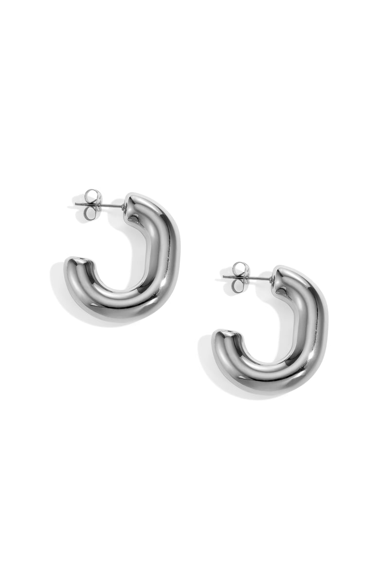 Stainless Steel Hoop Earrings irregular shape Casual Daily Simple Series Women's jewelry