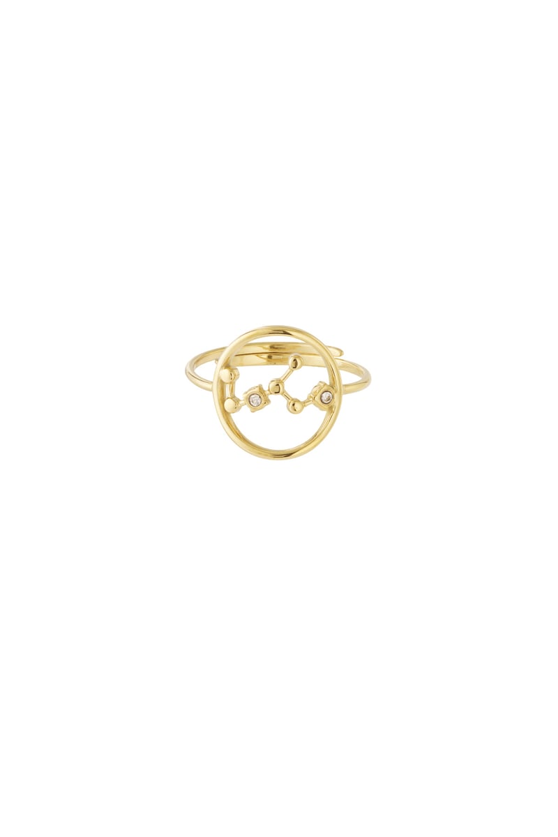 12 Zodiac Rings